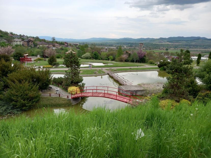  - Gradina Botanica Jibou