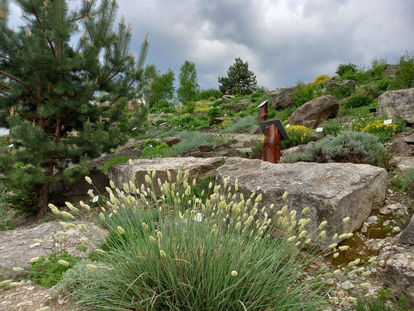  - Gradina Botanica Jibou