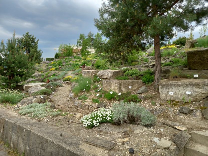  - Gradina Botanica Jibou