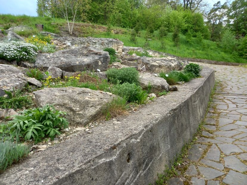  - Gradina Botanica Jibou