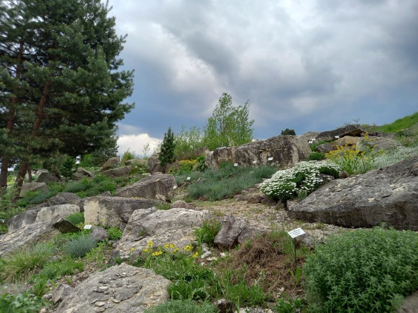  - Gradina Botanica Jibou