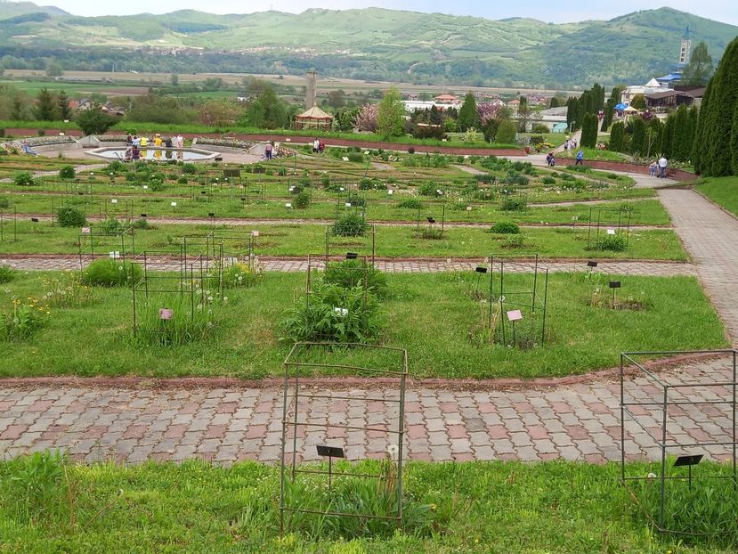  - Gradina Botanica Jibou