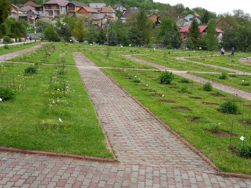  - Gradina Botanica Jibou