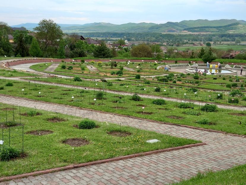  - Gradina Botanica Jibou