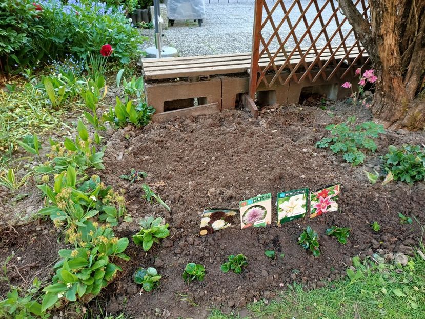 Img.2022.05.09 - Grădina mea