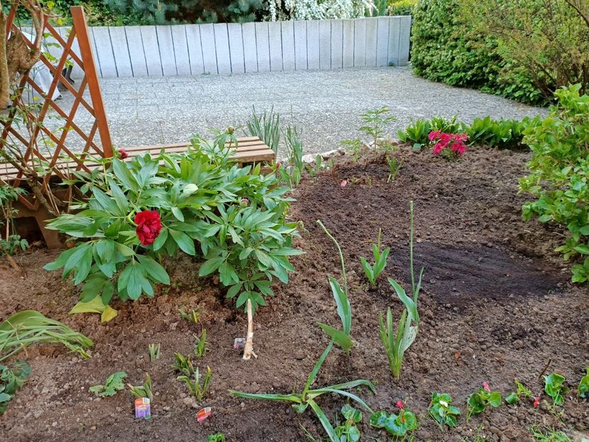 Img.2022.05.09 - Grădina mea