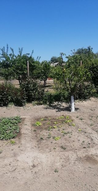 279857864_1157485091771398_5344754898911776314_n (1) - Mai 2022