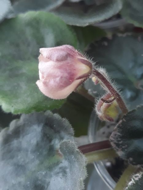 29 apr - AV Vechnostj