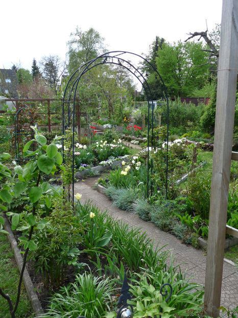  - 2022 - 01 - Primavara