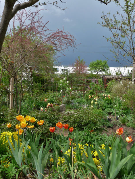  - 2022 - 01 - Primavara