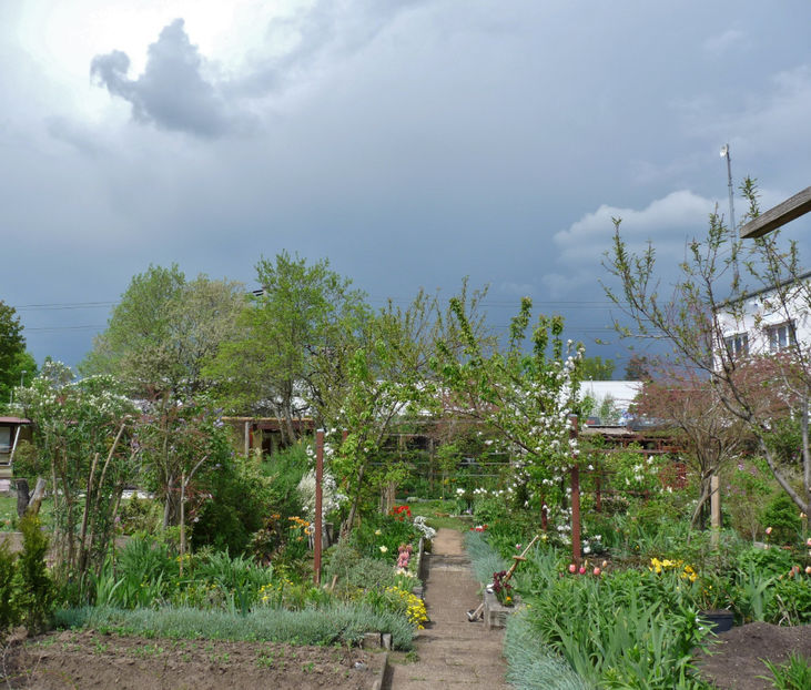  - 2022 - 01 - Primavara