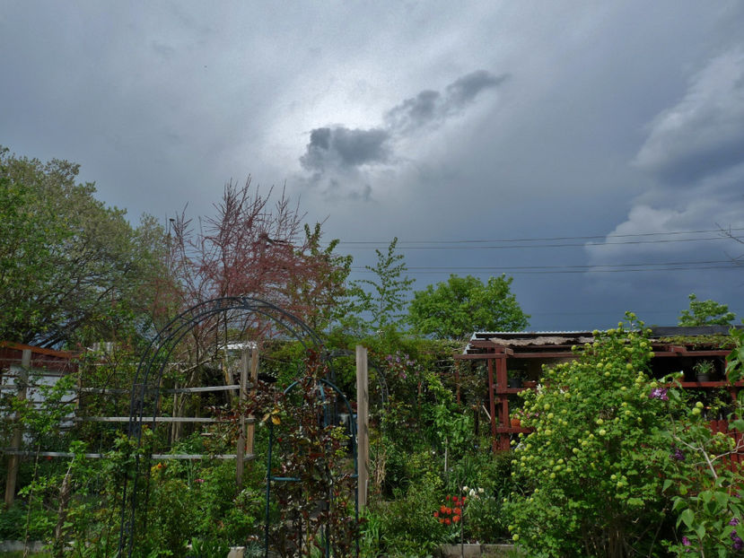 A venit cu piatra. - 2022 - 01 - Primavara