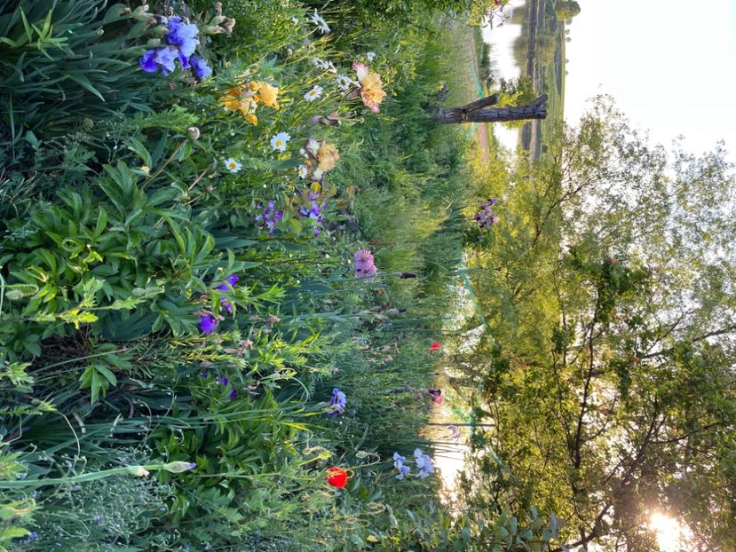 21E2262F-D3BC-4DD0-A746-1BD3D3335193 - IRISI 2021 22