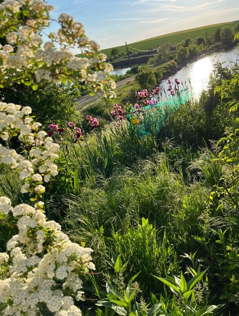 29229FEA-863A-44D5-855F-24203BBD4C8A - IRISI 2021 22