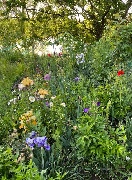 4FEFC0C4-0170-48CE-A217-8B41DDA9FF55 - IRISI 2021 22