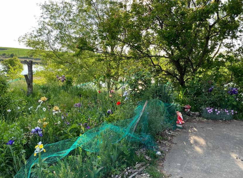 C7EA055D-C68A-47FF-987F-8C531A77C9E8 - IRISI 2021 22