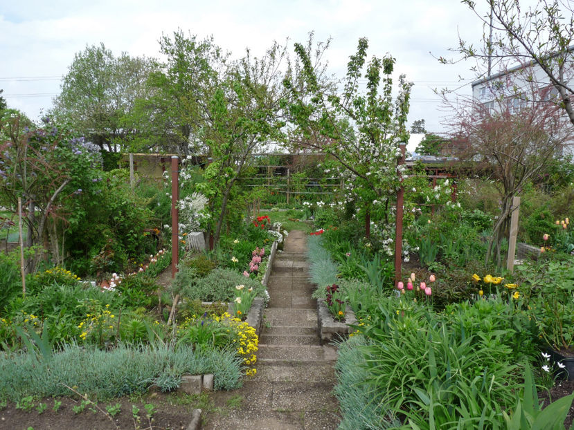  - 2022 - 01 - Primavara