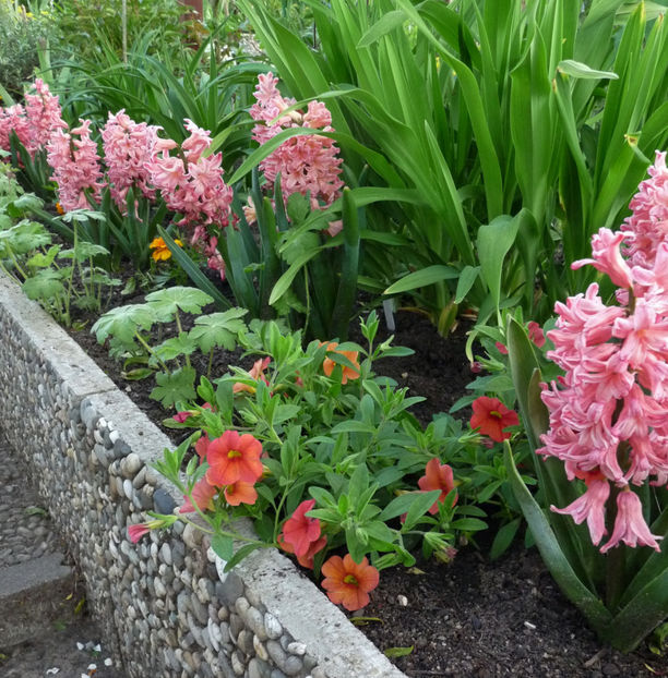  - 2022 - 01 - Primavara