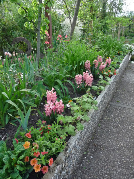  - 2022 - 01 - Primavara