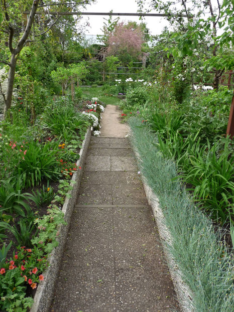  - 2022 - 01 - Primavara