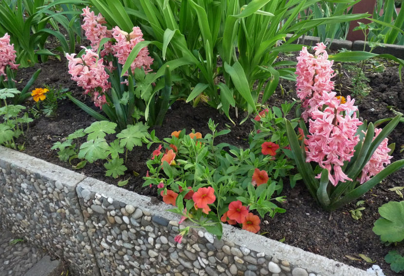  - 2022 - 01 - Primavara