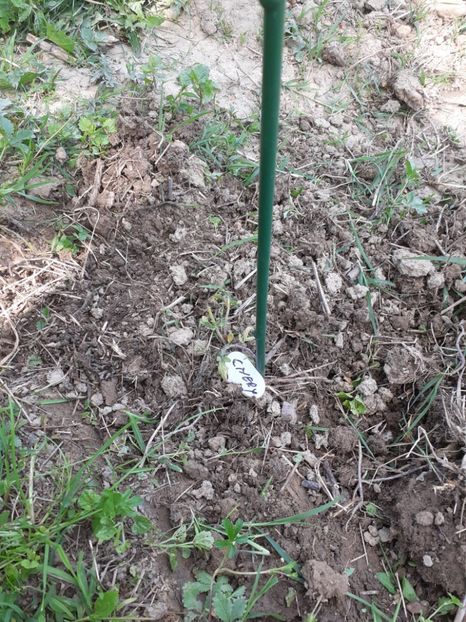 20220511_153006(0) - Mai 2022