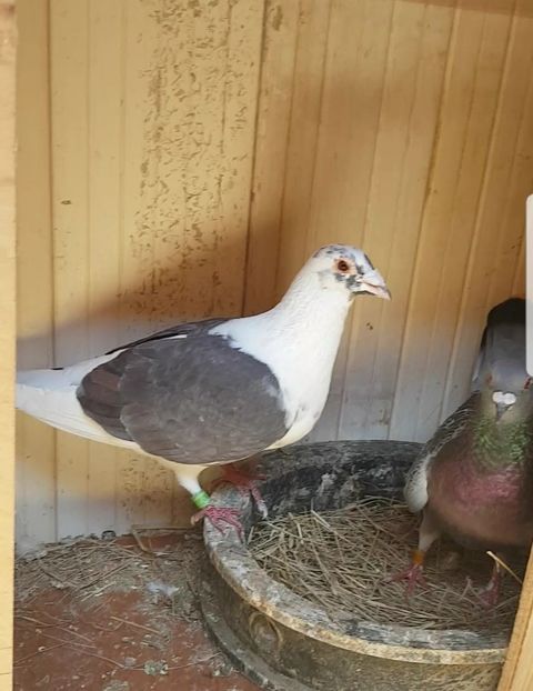 780 dupa etapa 280km - 2022