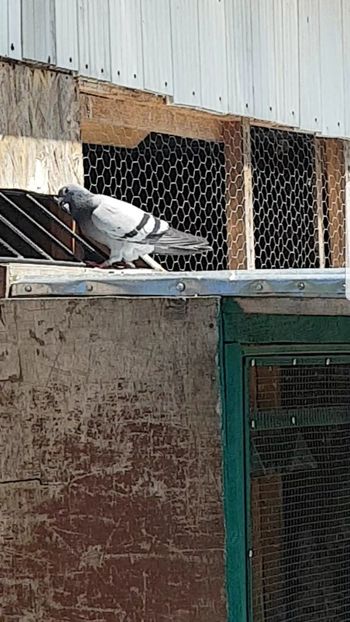 814 dupa etapa 280 km - 2022