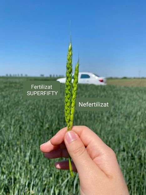 Poza 1 - 12-05-2022 Sandra TM