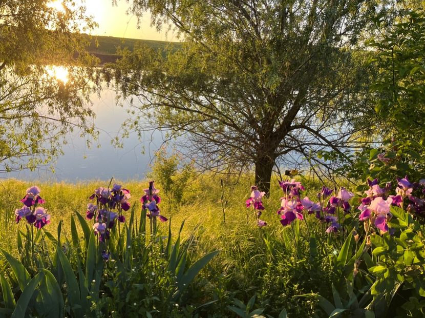 EA556545-1EA7-42C3-B3D7-892DCCEAA4F5 - IRISI 2021 22