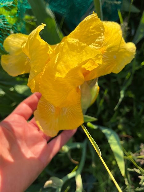 FA0B55C2-DABB-4725-945C-E1C91930D28C - IRISI 2021 22