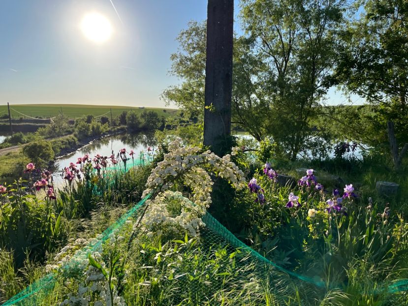 07E01DC6-7BE8-4F91-B3BD-B942546D95BC - IRISI 2021 22