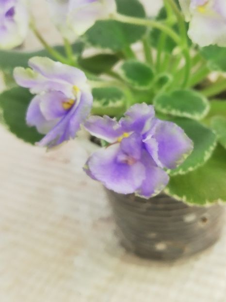 14 mai - Wesley s Depth of Reason