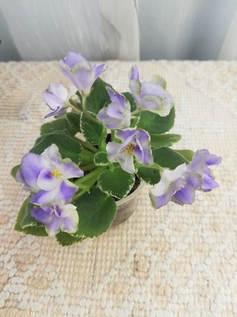 14 mai - Wesley s Depth of Reason