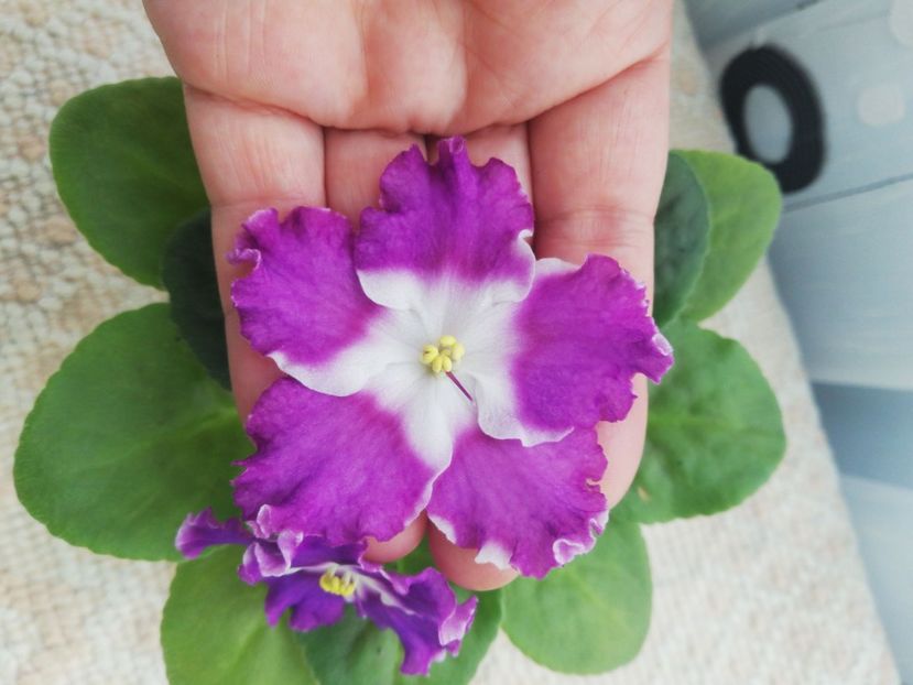 14 mai - LE Rain Melody