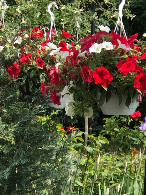 WhatsApp Image 2022-05-15 at 15.53.38 (1) - 041 Roman 15 05 2022