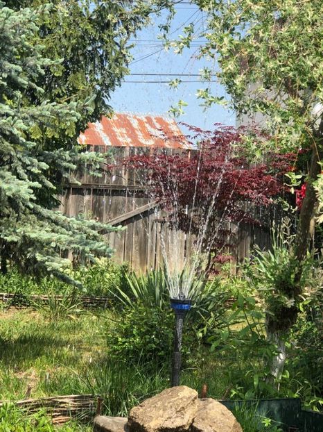 WhatsApp Image 2022-05-15 at 15.53.38 (9) - 041 Roman 15 05 2022