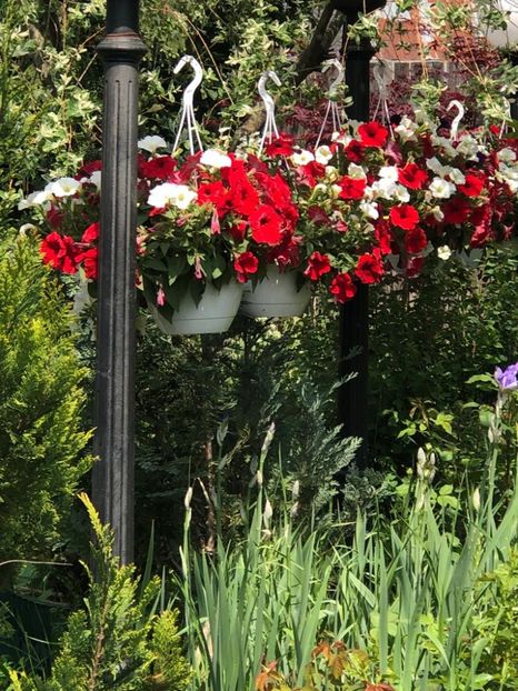 WhatsApp Image 2022-05-15 at 15.53.38 (12) - 041 Roman 15 05 2022