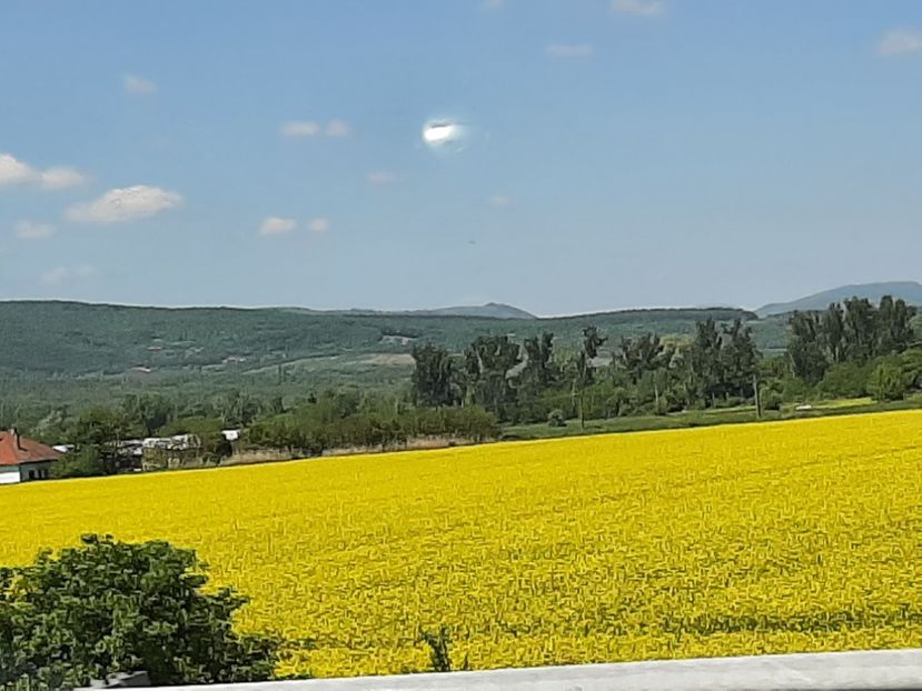  - Spre Cluj în mai 2022