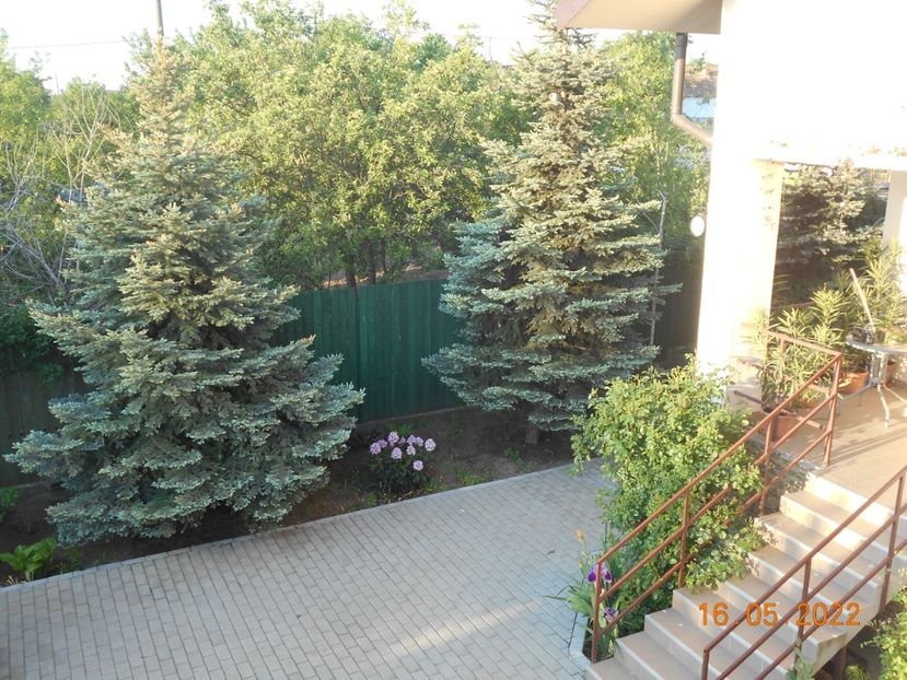  - 02 Primavara 2022