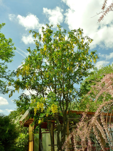  - 2022 - 01 - Primavara