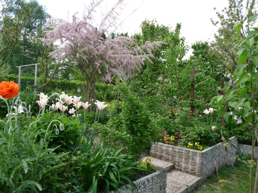  - 2022 - 01 - Primavara