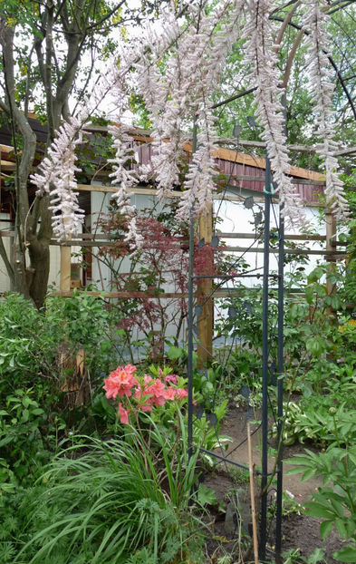  - 2022 - 01 - Primavara