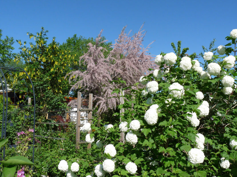  - 2022 - 01 - Primavara