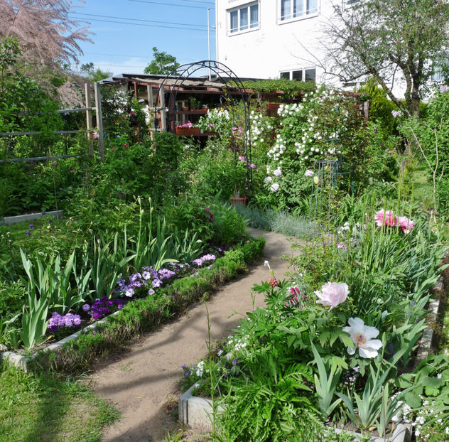  - 2022 - 01 - Primavara