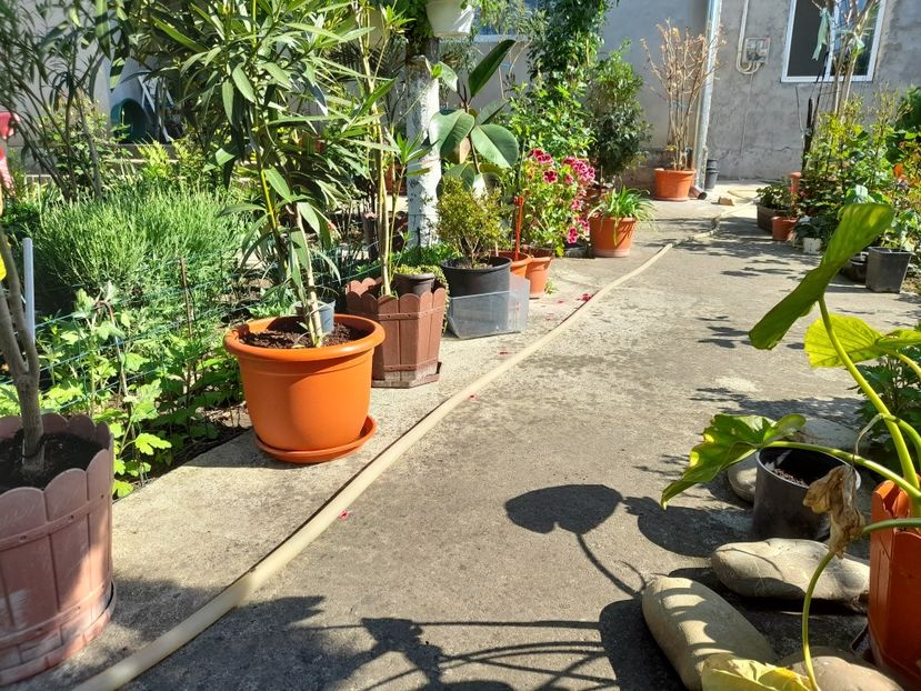  - 111 Bucurii pentru suflet 2022