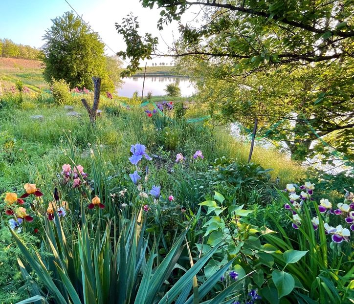 9BF01986-9BD8-4864-81C1-694CB61309EA - IRISI 2021 22