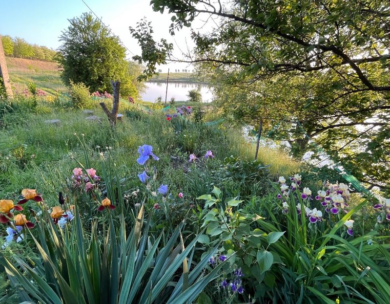 0E31A2E1-571B-46CB-805B-E5DDF011ADE6 - IRISI 2021 22