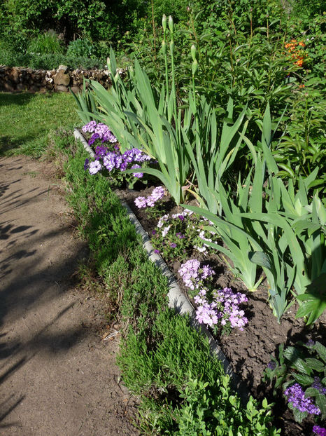  - 2022 - 01 - Primavara