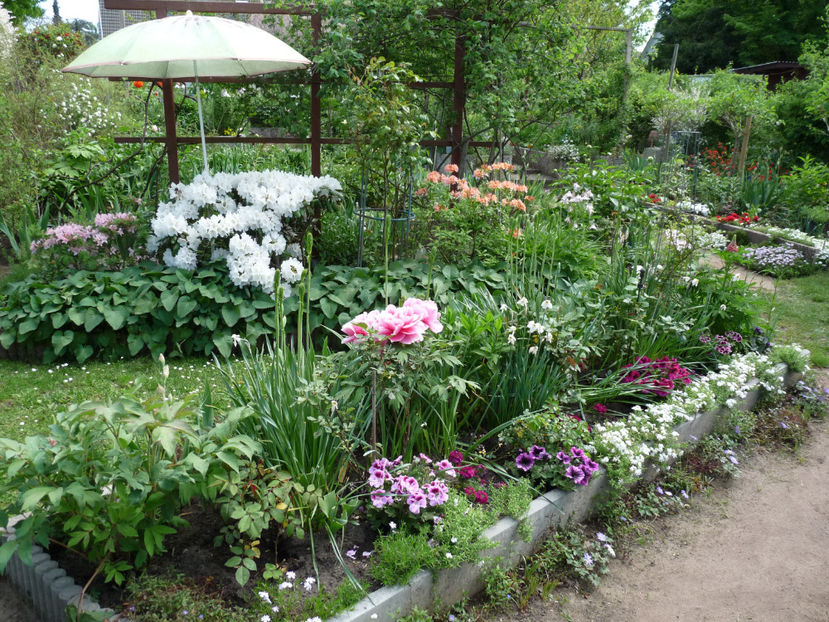  - 2022 - 01 - Primavara